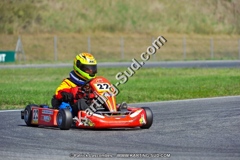 DSC_ (1320).jpg